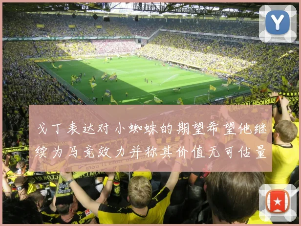 戈丁表达对小蜘蛛的期望希望他继续为马竞效力并称其价值无可估量
