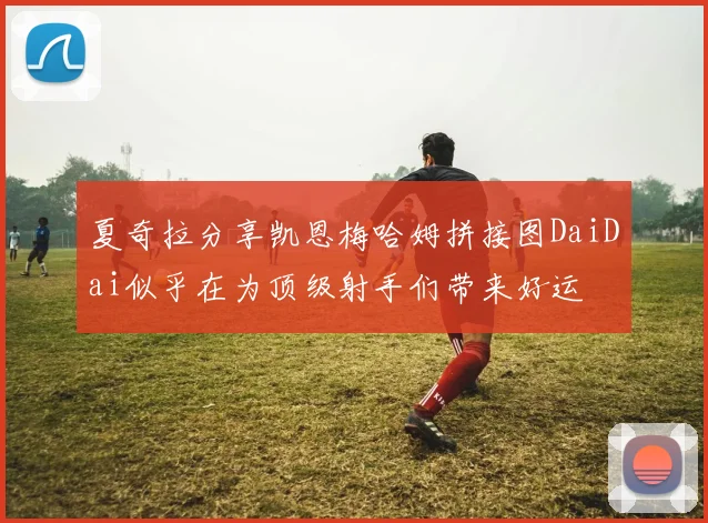 夏奇拉分享凯恩梅哈姆拼接图DaiDai似乎在为顶级射手们带来好运